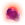 Pumpkin Moon